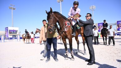 بطولة مصر الدولية للفروسية
