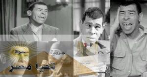 صفاء الجميل