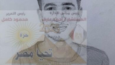 الفنان فارس هجرس