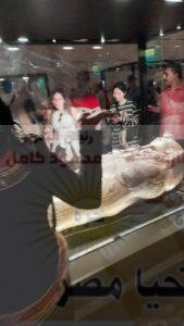 ظهور حديث للملكة نفرتيتي (مللك السيسى) داخل المتحف المصري الكبير
