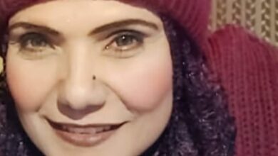 ملك السيد السيسي