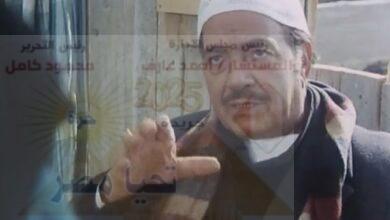 كمال الشناوى